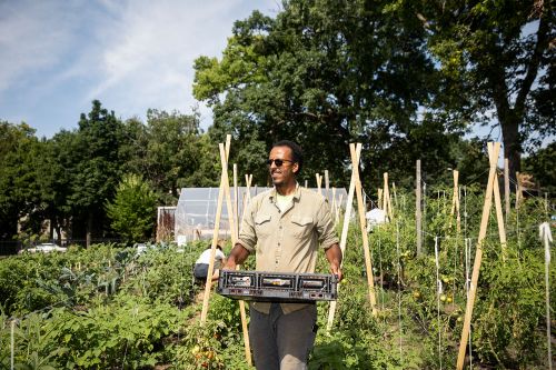 Ibrahim Mohammed, Appetite for Change urban agriculture program manager, at one of their seven urban farms